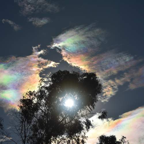 Photo #12513192