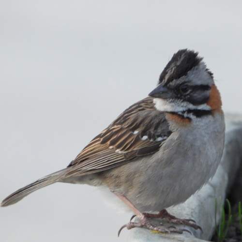 Фотография #12513208