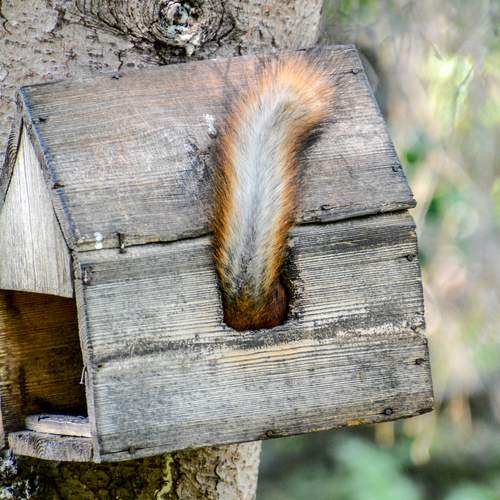 Photo #12513245