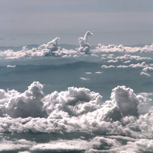 Photo #12513271