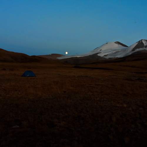Photo #12513433