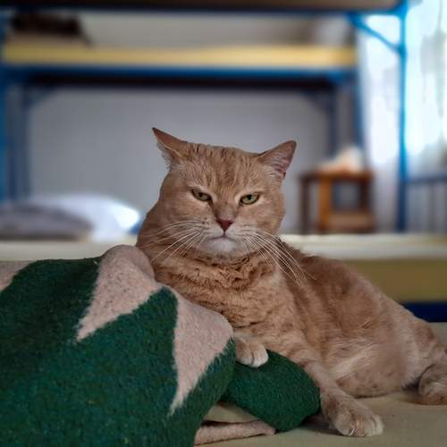 Photo #12513454