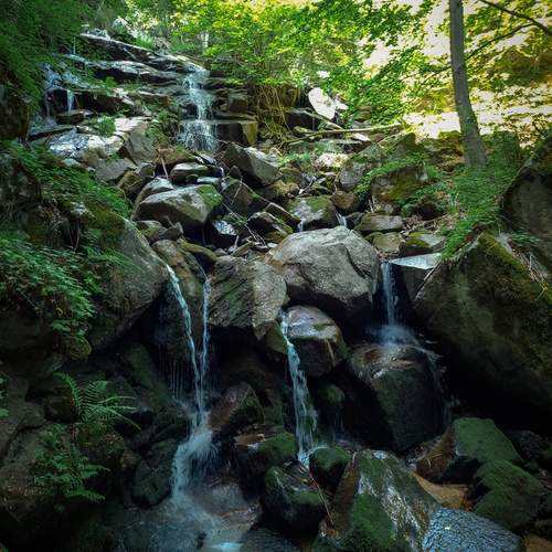 Photo #12513456