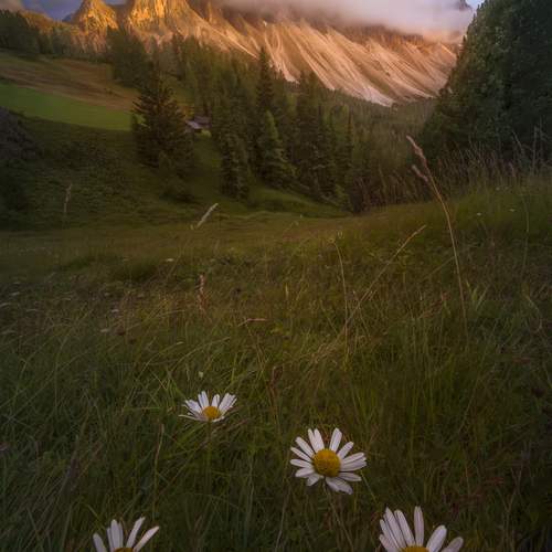 Фотография #12513479