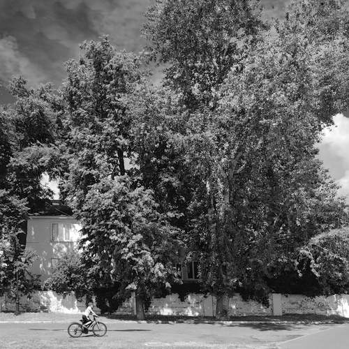 Photo #12513486