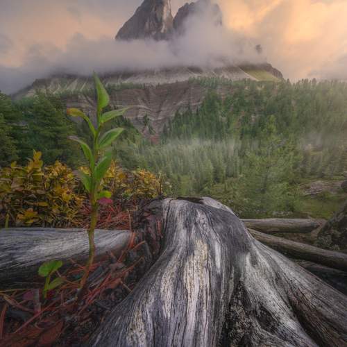 Фотография #12513487