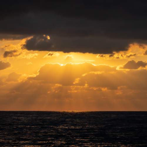 Photo #12513501