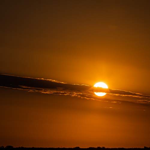 Photo #12513502