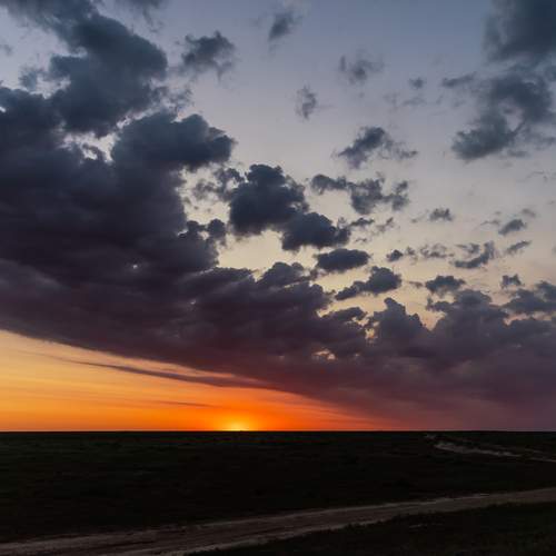 Photo #12513503