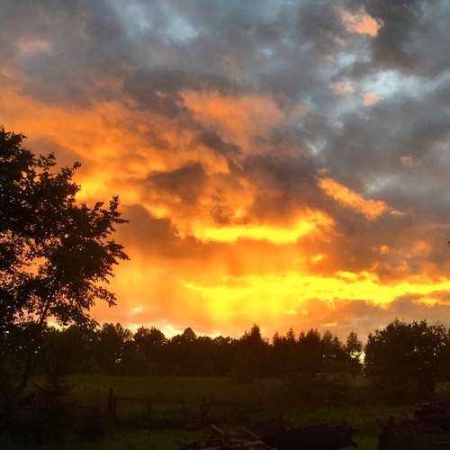 Photo #12513617