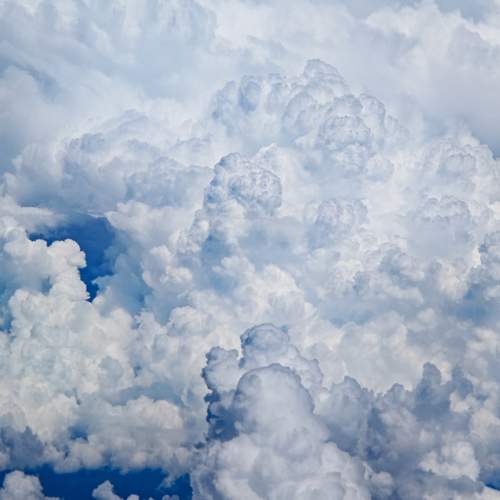 Photo #12513618