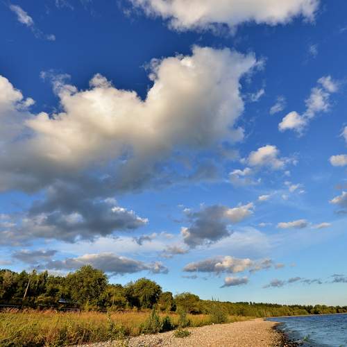 Photo #12513651