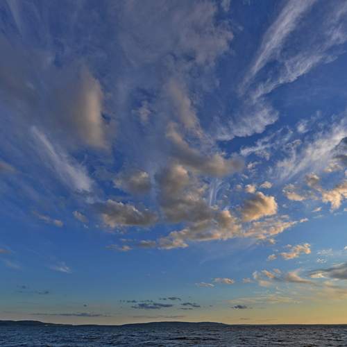 Photo #12513652