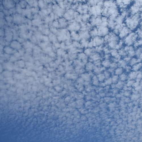 Photo #12513734