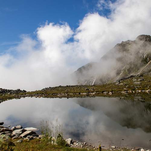 Photo #12513782