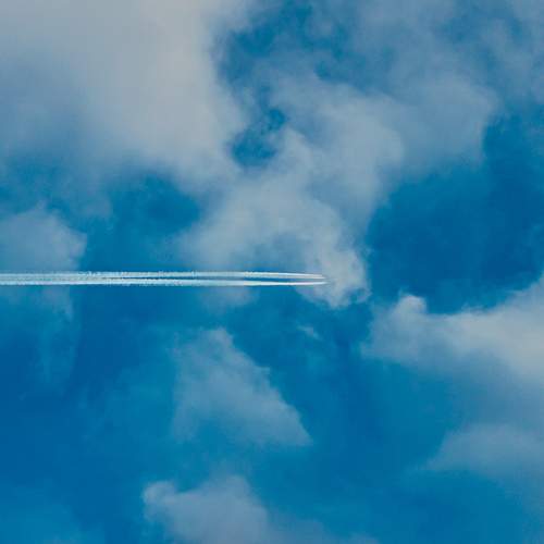 Photo #12514259
