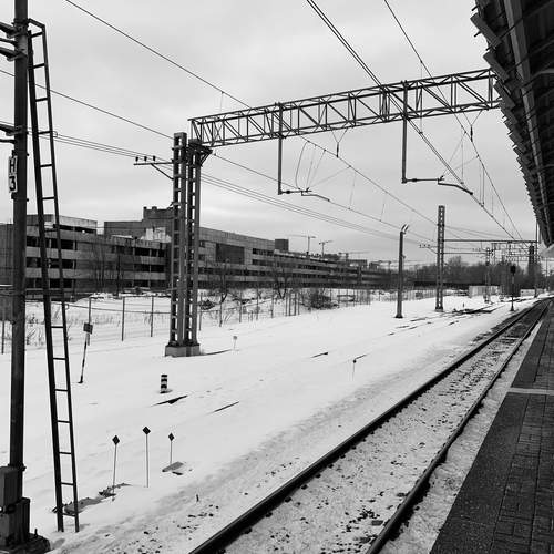 Photo #12514298