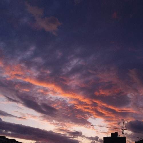 Photo #12514440