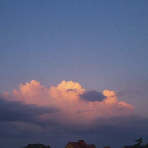 Photo #12514444