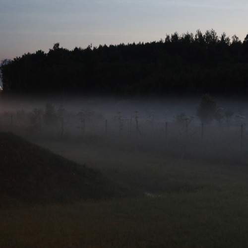 Photo #12514466