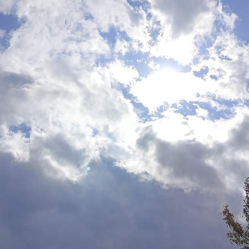 Photo #12514506