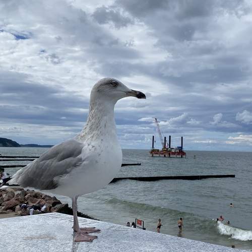 Photo #12514553
