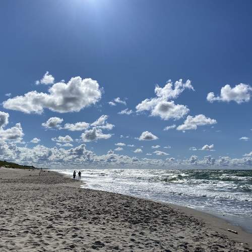 Photo #12514568
