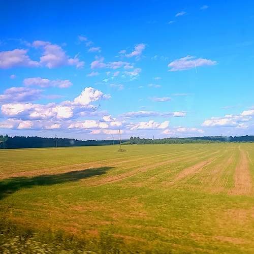 Photo #12514584