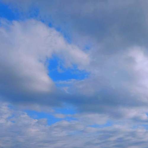 Photo #12514587