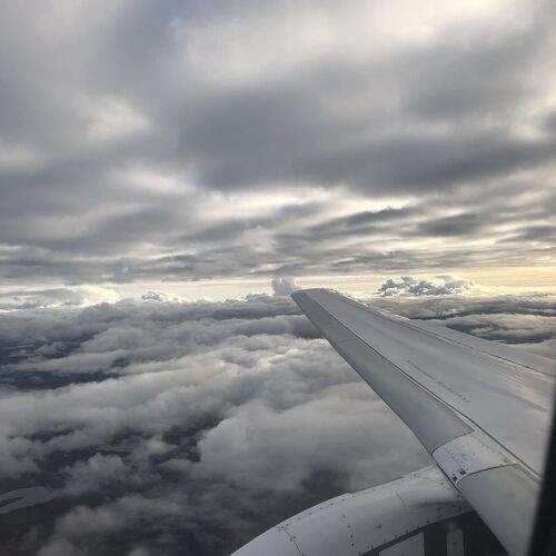 Photo #12514595