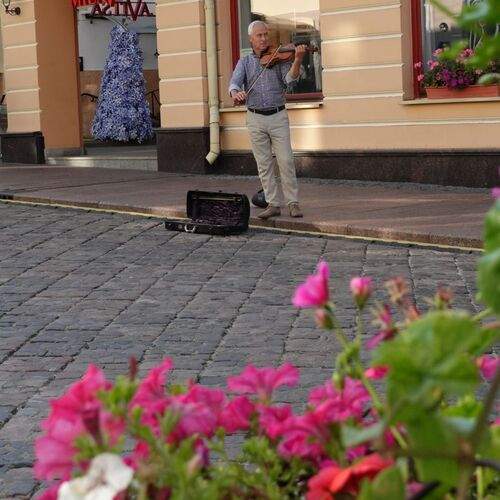 Photo #12514603