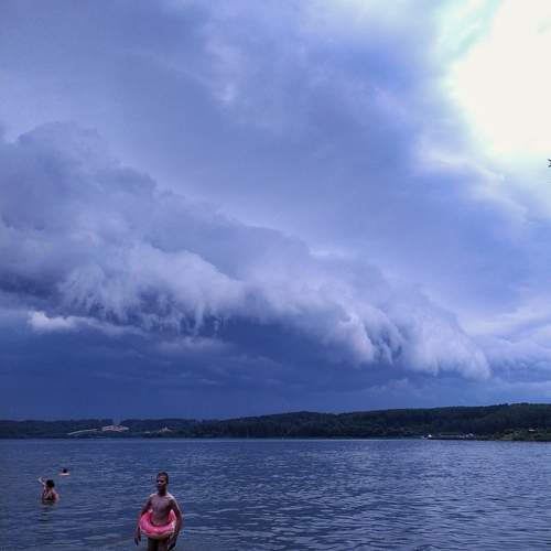 Photo #12514625