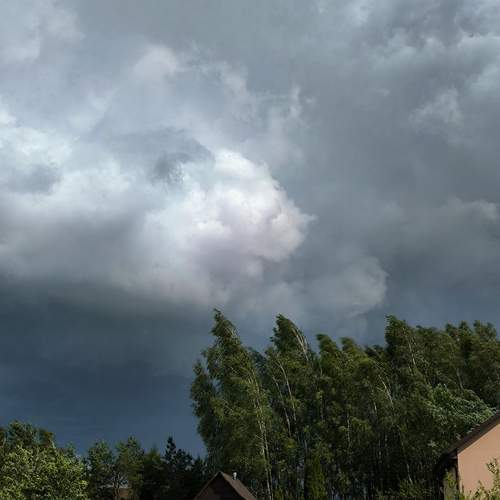 Photo #12514636