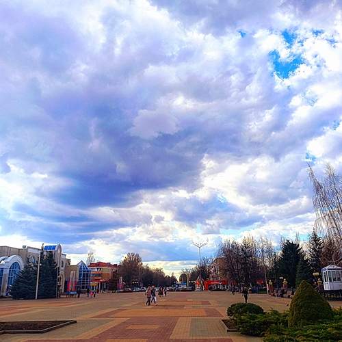 Photo #12514654