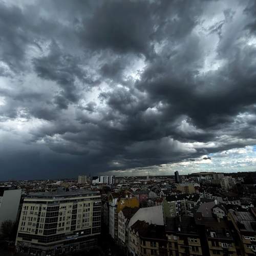 Photo #12514852
