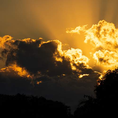 Photo #12515062