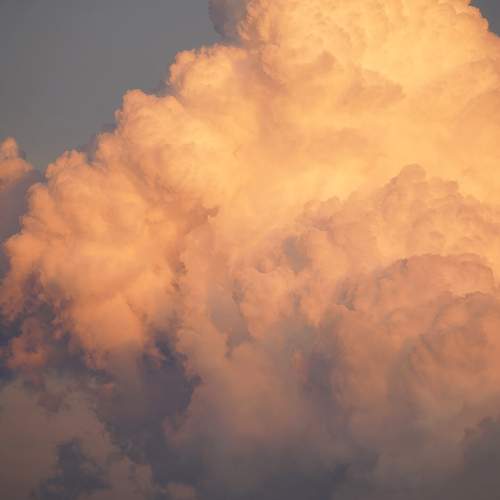 Photo #12515118