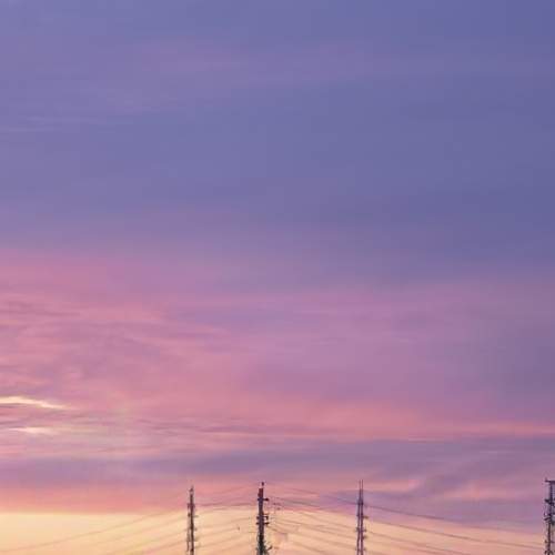 Photo #12515276