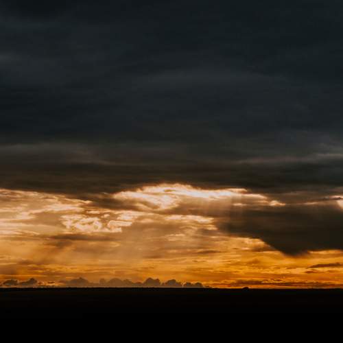 Photo #12515621