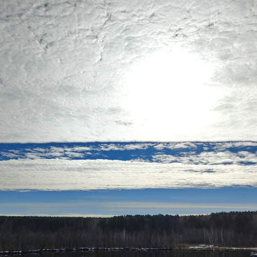 Photo #12515661