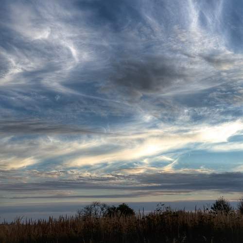 Photo #12515683