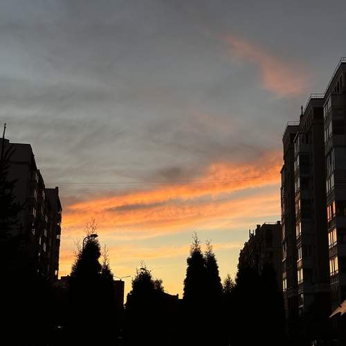 Photo #12515689