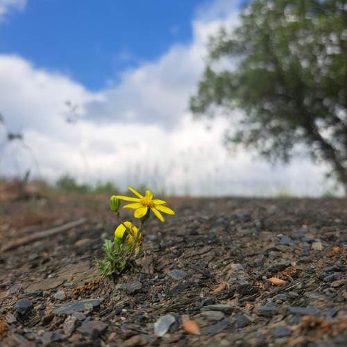 Photo #12515883