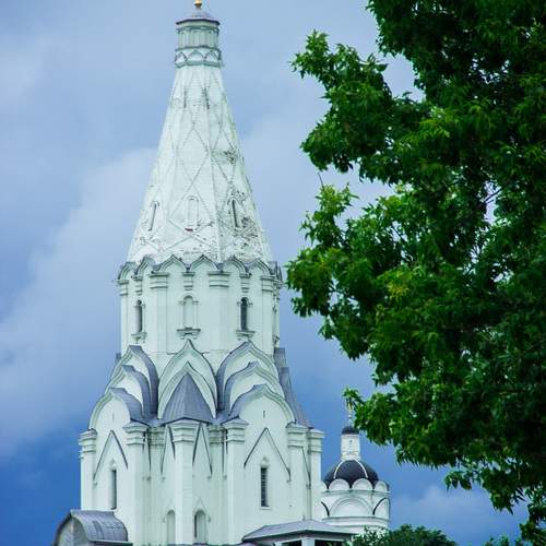 Photo #12515914