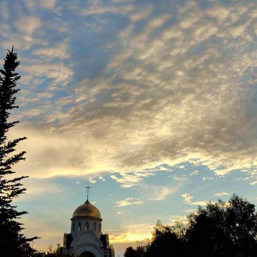 Photo #12516047