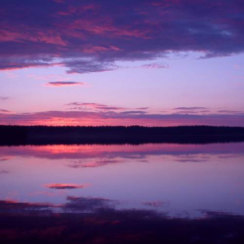 Photo #12516156
