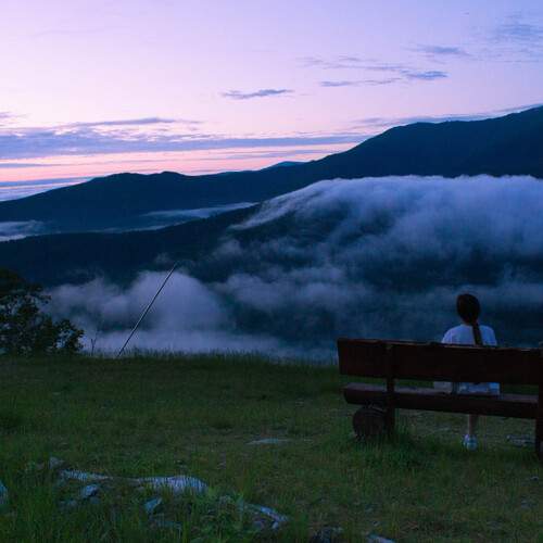 Photo #12516215