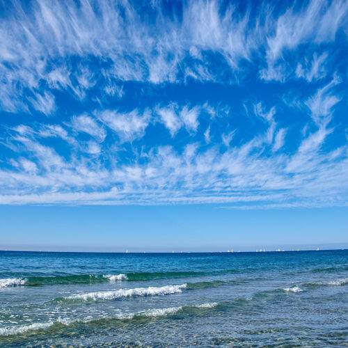 Photo #12516234