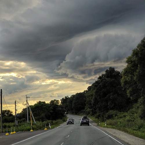 Photo #12516359