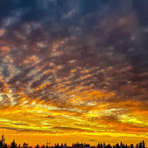 Photo #12516401